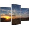 Obraz pole (Obraz 90x60cm) Obraz pole (Obraz 90x60cm)