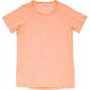 Dámske tričko DEVOLD ENDURANCE MERINO 130 TEE W veľkosť XL Dámske tričko DEVOLD ENDURANCE MERINO 130 TEE W veľkosť XL