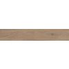 BALDOCER Ceramicas Vermont Walnut Anti-Slip 20x120 R Hnedá BALDOCER Ceramicas Vermont Walnut Anti-Slip 20x120 R Hnedá