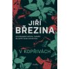 V kopřivách - Jiří Březina