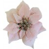 POINSETIA vianočná ruža zamat KORÁLOVO-ZLATÁ 28cm POINSETIA vianočná ruža zamat KORÁLOVO-ZLATÁ 28cm