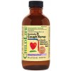 ChildLife Essentials Formula 3 Cough Syrup, podpora dýchacích cest, lesní plody, 118,5 ml Výživový doplnok ChildLife Essentials Formula 3 Cough Syrup, podpora dýchacích cest, lesní plody, 118,5 ml Výživový doplnok