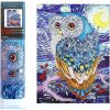 Norimpex Diamantové maľovanie 7D Sova 30 x 40 cm