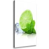Vertikálny foto obraz na plátne Limetka a ľad 50x100 cm Vertikálny foto obraz na plátne Limetka a ľad 50x100 cm