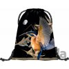 Baagl eARTh Kingfisher by Caer8th Baagl eARTh Kingfisher by Caer8th
