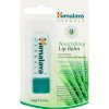 Himalaya Nourishing Lip Balm Vyživujúci balzam na pery (4,5g) Himalaya Nourishing Lip Balm Vyživujúci balzam na pery (4,5g)