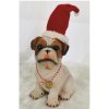 Vianočný psík s čiapkou