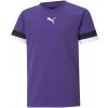 T-shirt Puma teamRise Jersey Jr 704938 10 (85673) Black 176