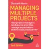 Managing Multiple Projects Managing Multiple Projects