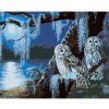 Diamondi Diamantové maľovanie - SNEŽNÁ SOVA V NOCI PRI SPLNE (D. RUSTY RUST) Rámovanie: bez rámu a bez vypnutia plátna, Rozmer: 40x50 cm Diamondi Diamantové maľovanie - SNEŽNÁ SOVA V NOCI PRI SPLNE (D. RUSTY RUST) Rámovanie: bez rámu a bez vypnutia plátna, Rozmer: 40x50 cm