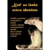 Keď sa láska stáva zbraňou - Mária Vicenová Keď sa láska stáva zbraňou - Mária Vicenová