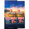 Ontario Adult Large Beef & Brown Rice 2 x 12 kg
