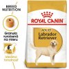 ROYAL CANIN Labrador retriever adult 2 x 12 kg granule pre dospelých psov plemena labradorský retriever nad 15 mesiacov ROYAL CANIN Labrador retriever adult 2 x 12 kg granule pre dospelých psov plemena labradorský retriever nad 15 mesiacov