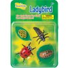 Insectlore Životný cyklus lienky Insectlore Životný cyklus lienky