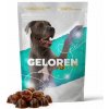 Kĺbová výživa pre veľké psy Geloren DOG L-XL (60 ks) Kĺbová výživa pre veľké psy Geloren DOG L-XL (60 ks)