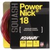 Ashaway PowerNick 18 Zyex 9m 1,15mm