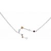 Eppi Náhrdelník so znamením zverokruhu Gemini N47555 Eppi Náhrdelník so znamením zverokruhu Gemini N47555