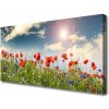 Obraz Canvas Lúka kvety slnko príroda 100x50 cm Obraz Canvas Lúka kvety slnko príroda 100x50 cm