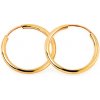 iZlato Forever Hladké zlaté kruhy 2 cm 14K IZ7693