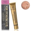 DERMACOL Make-Up Cover No.213 30 g DERMACOL Make-Up Cover No.213 30 g