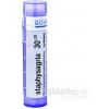 Staphysagria gra.1 x 4 g 30CH Staphysagria gra.1 x 4 g 30CH
