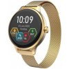 Carneo Hero mini HR+ Gold 8588009299202 - Smart hodinky