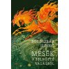 Mesék a felnőtté válásról Mesék a felnőtté válásról