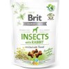 Funkčné maškrty Brit Care Dog Insects with Rabbit & Fennel 200 g Funkčné maškrty Brit Care Dog Insects with Rabbit & Fennel 200 g