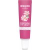 Weleda Wild Rose & White Tea rozjasňujúci očný krém na deň aj noc 12 ml Weleda Wild Rose & White Tea rozjasňujúci očný krém na deň aj noc 12 ml