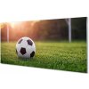 Sklenený obklad do kuchyne Futbal tráva gateway 100x50 cm Sklenený obklad do kuchyne Futbal tráva gateway 100x50 cm