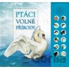 Ptáci volné přírody - Andrea Pinnington, Caz Buckingham Ptáci volné přírody - Andrea Pinnington, Caz Buckingham