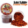 Leaf Litter Autumn Orange