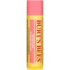 Burt´s Bees Lip Care osviežujúci balzam na pery with Pink Grapefruit 4,25 g