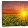 Sablio Obraz Západ slnka nad lúkou - 50x50 cm Sablio Obraz Západ slnka nad lúkou - 50x50 cm