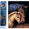 Norimpex Diamantové maľovanie Kobyla s žriebäťom 30 x 40 cm