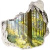 Diera 3D v stene na stenu Forest na slnku 75x75 cm Diera 3D v stene na stenu Forest na slnku 75x75 cm