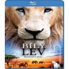Biely lev (Bluray) Biely lev (Bluray)