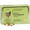 PHARMA NORD Bioaktívny Pycnogenol 90 tablet PHARMA NORD Bioaktívny Pycnogenol 90 tablet