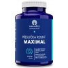 Renovality Praslička roľná MAXIMAL 90 kapsúl Renovality Praslička roľná MAXIMAL 90 kapsúl