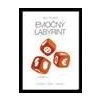 Emočný labyrint Emočný labyrint