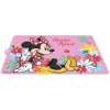 Banquet prestieranie plastové Minnie Bloom 43x28
