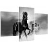 Čiernobiely obraz koňov (Obraz 90x60cm) Čiernobiely obraz koňov (Obraz 90x60cm)