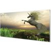 Sklenený obraz Unicorn Golf 100x50 cm Sklenený obraz Unicorn Golf 100x50 cm