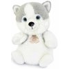 Plyšový psík Husky The Little Companions Histoire d’ Ours biely 20 cm od 0 mes Plyšový psík Husky The Little Companions Histoire d’ Ours biely 20 cm od 0 mes