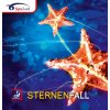 Spinlord Sternenfall