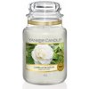 Yankee Candle Camellia Blossom 411 g