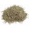 Rozmarín, balenie 50 g Rozmarín, balenie 50 g