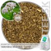BYLINNÝ ČAJ Valeriána lekárska - koreň (60g) BYLINNÝ ČAJ Valeriána lekárska - koreň (60g)