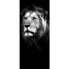Fototapeta - DV1373 - Lev čierno-biely Vliesová fototap. - 91cm x 211cm Fototapeta - DV1373 - Lev čierno-biely Vliesová fototap. - 91cm x 211cm