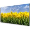 Skleneny obraz Tulipány kvety rastlina 100x50 cm Skleneny obraz Tulipány kvety rastlina 100x50 cm